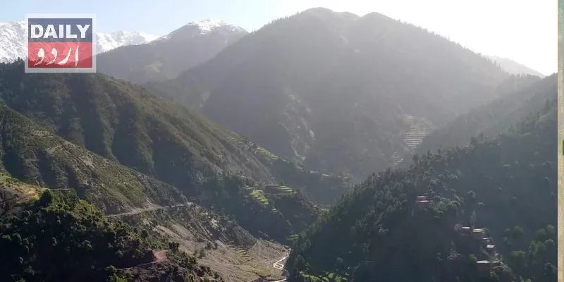 دہشتگردی