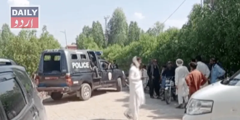 دہشتگردی