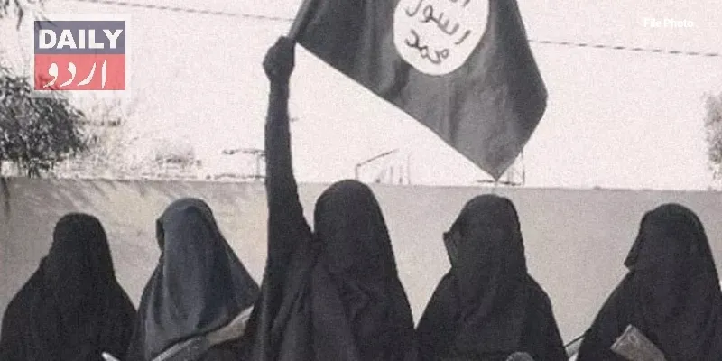 دہشتگردی
