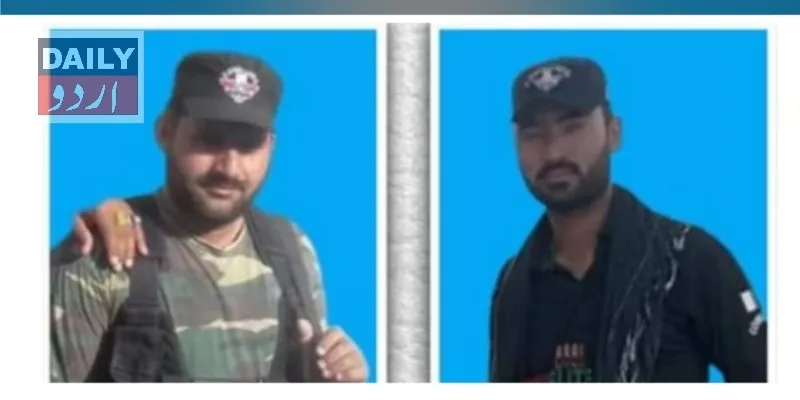 دہشتگردی