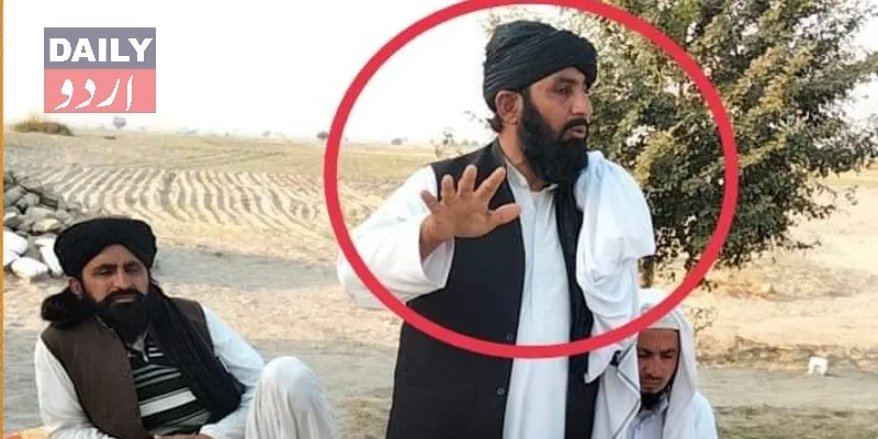 سیاست
