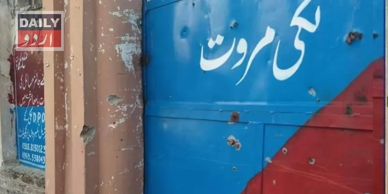 دہشتگردی