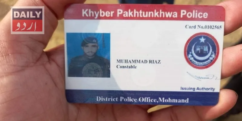 دہشتگردی