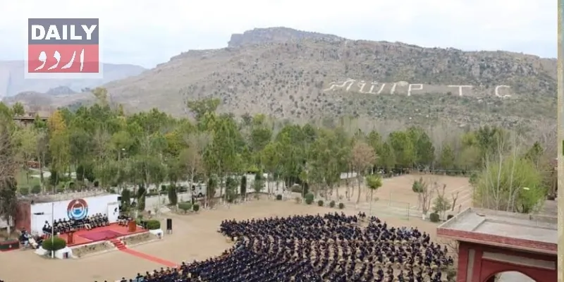کرائمز