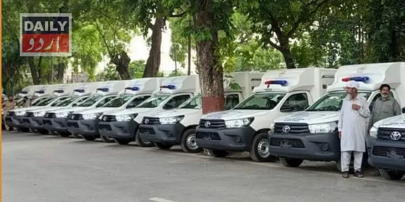 دہشتگردی