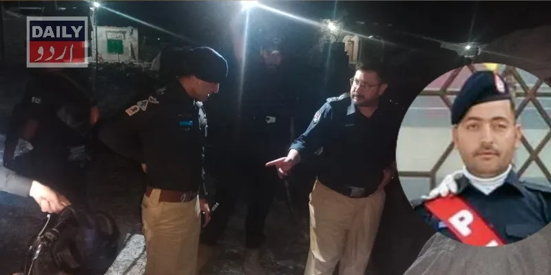 دہشتگردی