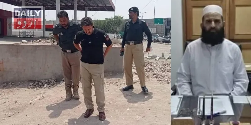 دہشتگردی