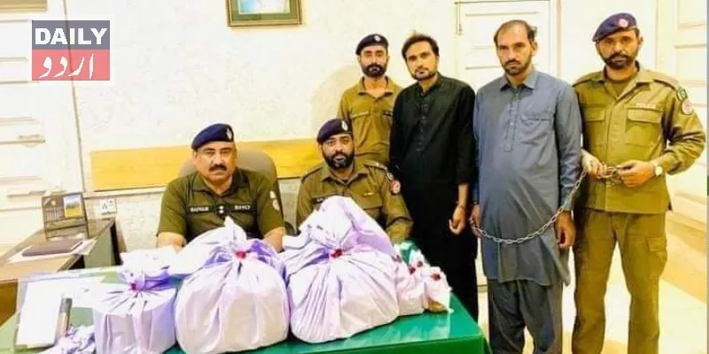 دہشتگردی