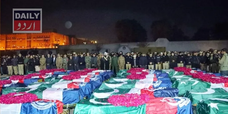 دہشتگردی