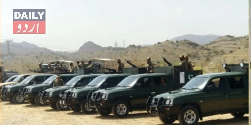 دہشتگردی