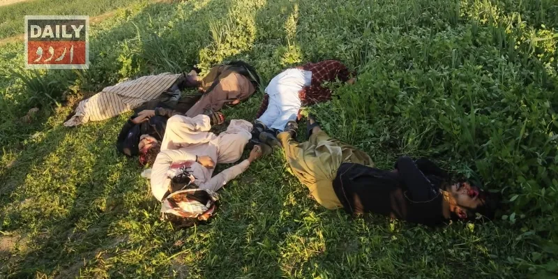 دہشتگردی