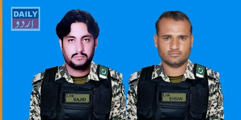 دہشتگردی