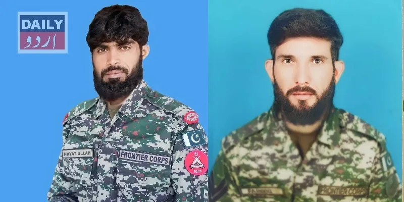دہشتگردی