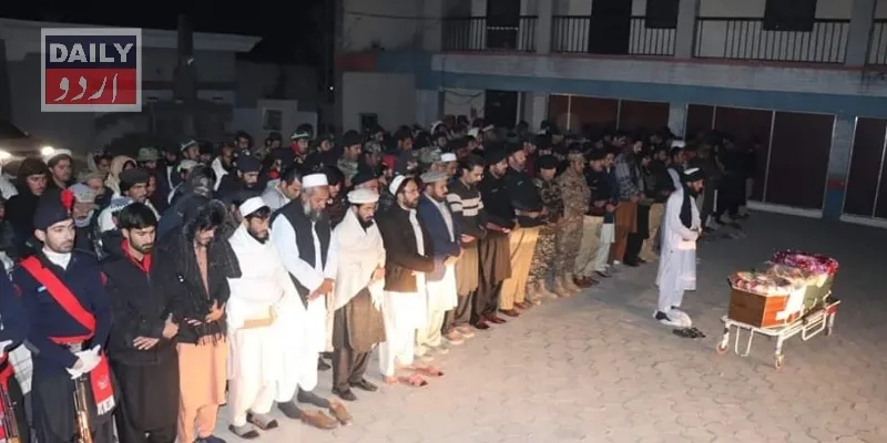دہشتگردی