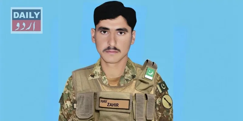 دہشتگردی