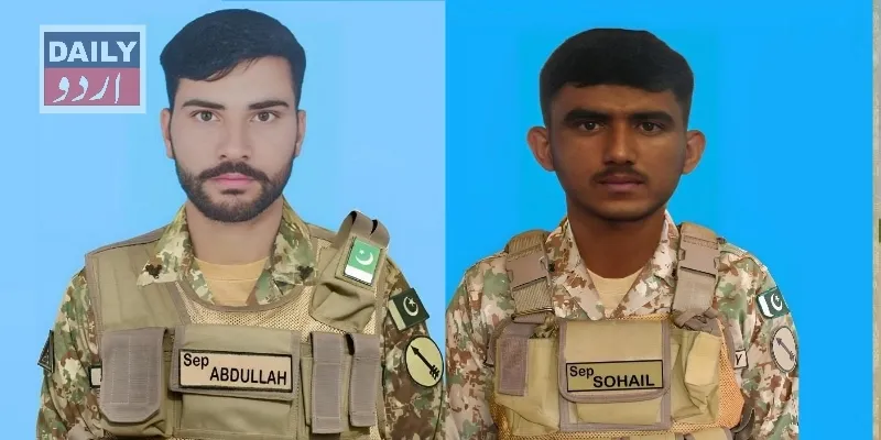 دہشتگردی