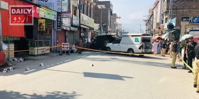 دہشتگردی