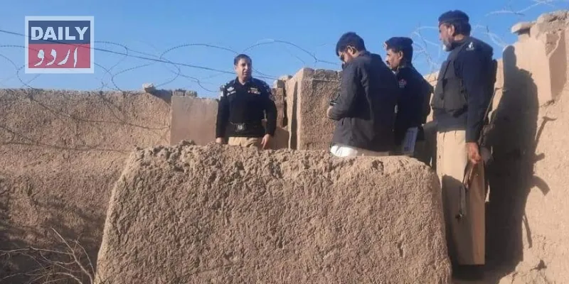 دہشتگردی