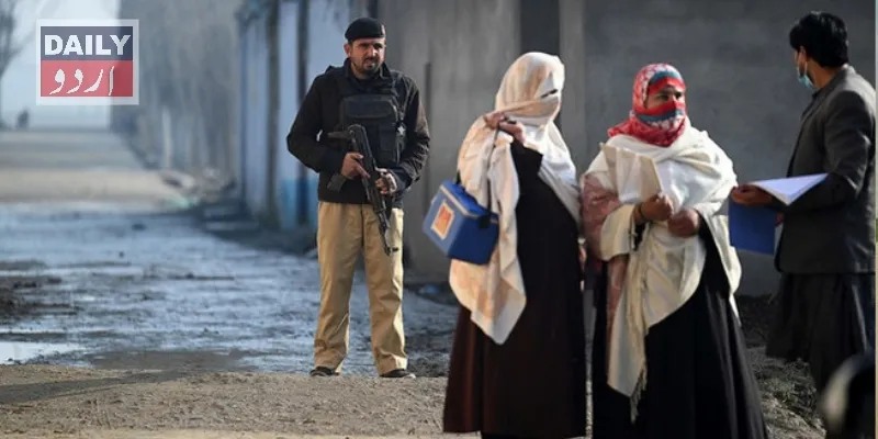 دہشتگردی