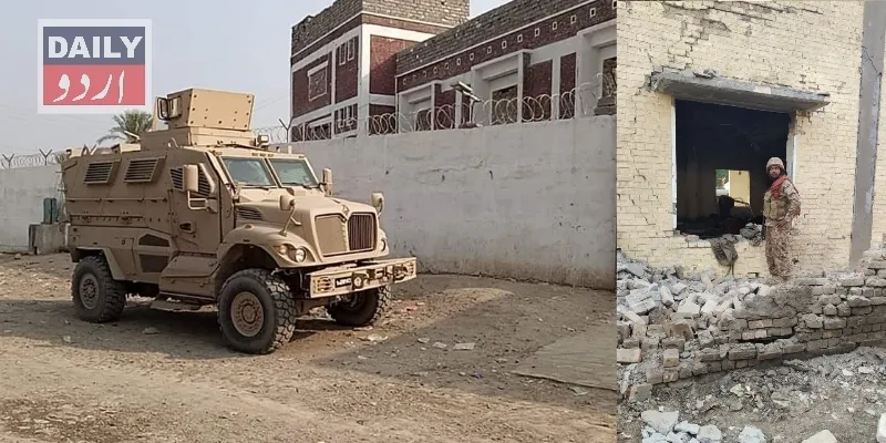 دہشتگردی