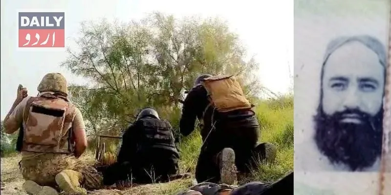 دہشتگردی