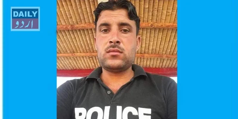 دہشتگردی