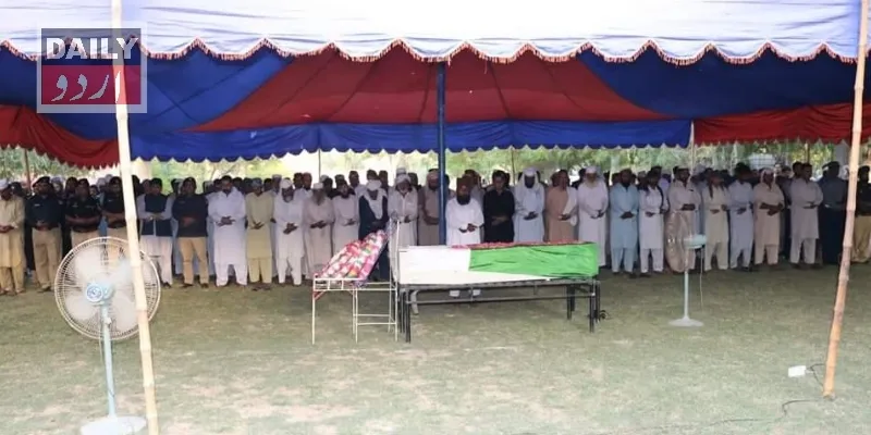 دہشتگردی