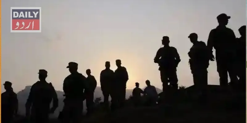 دہشتگردی