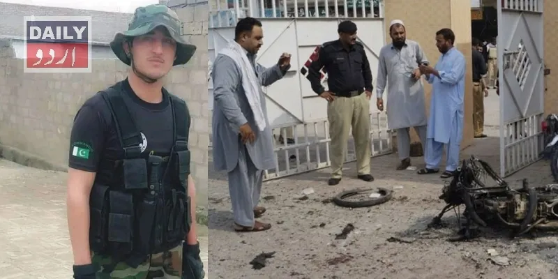 دہشتگردی