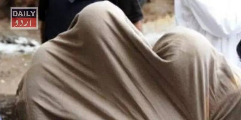 کورٹس