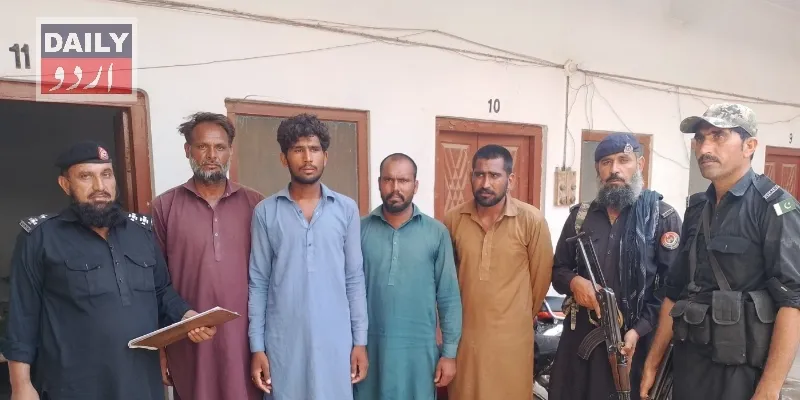 دہشتگردی