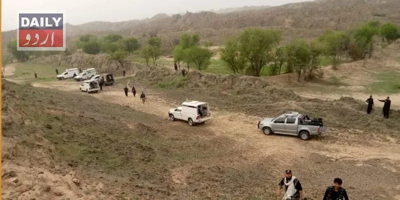دہشتگردی