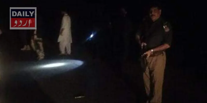 دہشتگردی
