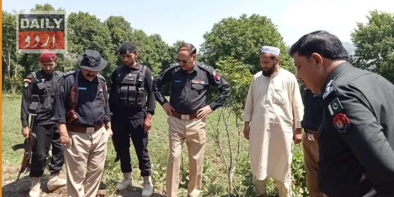 دہشتگردی