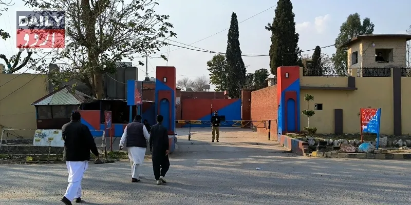 کورٹس