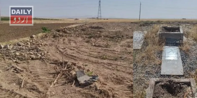 کرائمز
