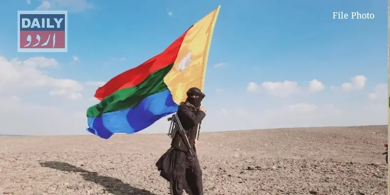 دہشتگردی