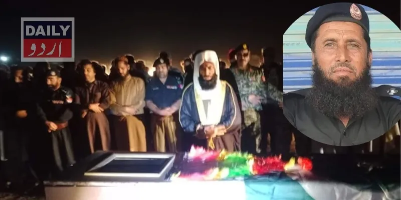 دہشتگردی