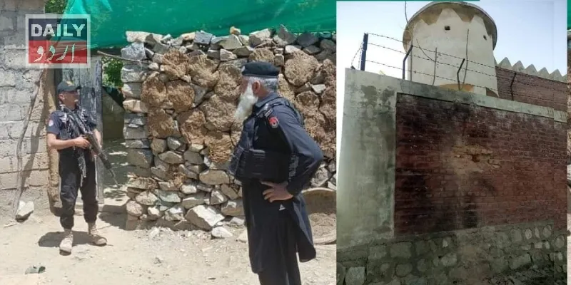 دہشتگردی