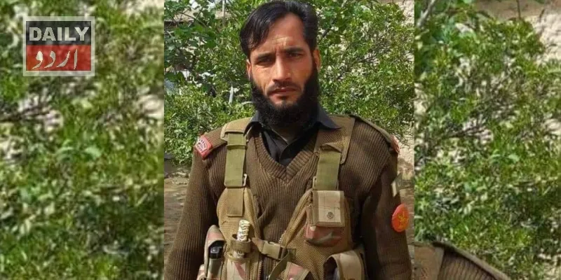دہشتگردی