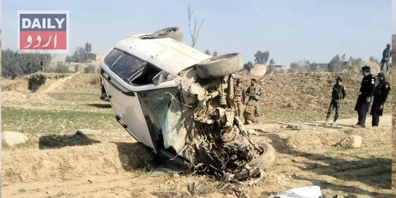 دہشتگردی