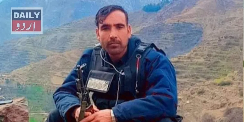 دہشتگردی