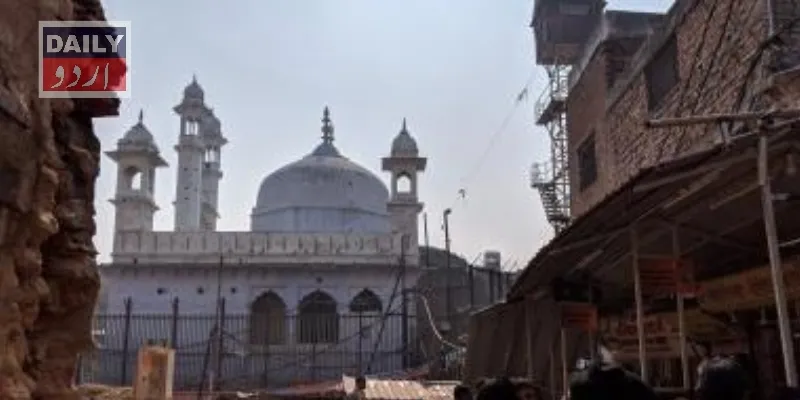کورٹس
