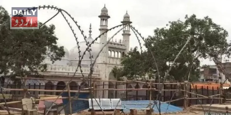 کورٹس