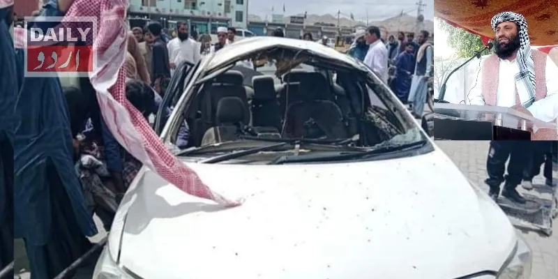 دہشتگردی