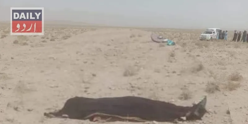دہشتگردی