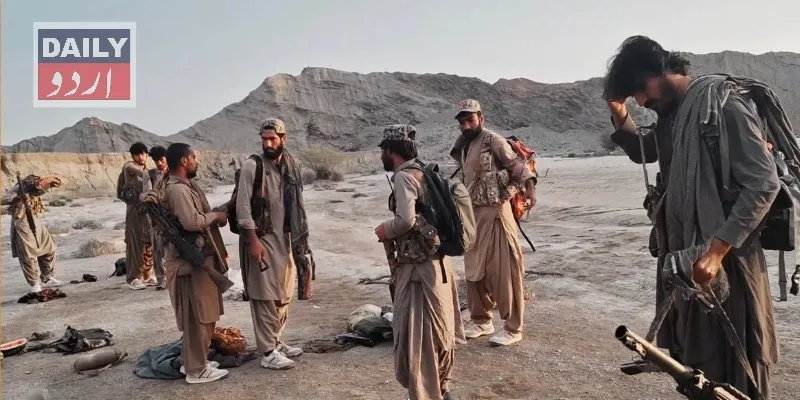 دہشتگردی