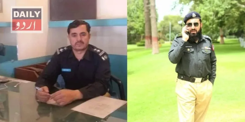 دہشتگردی