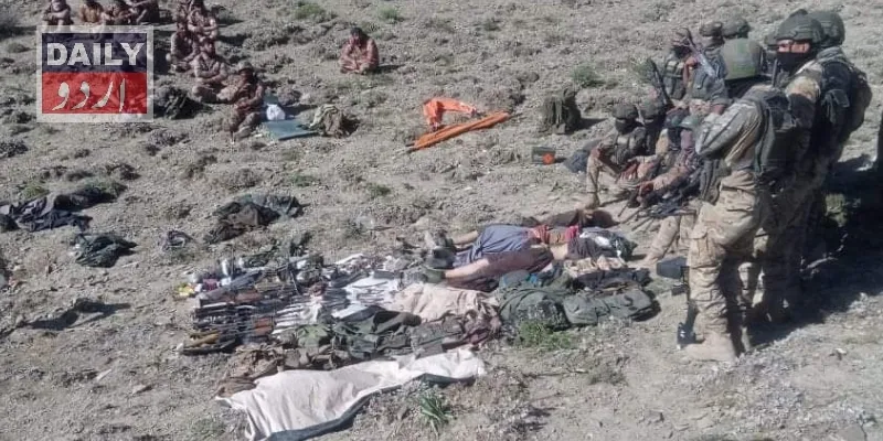 دہشتگردی