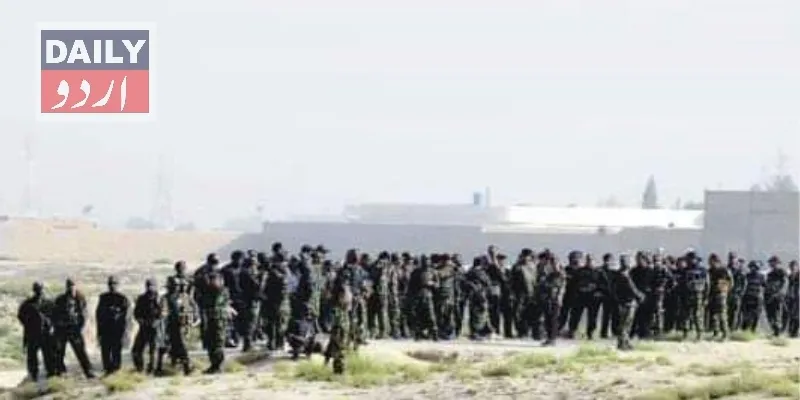 دہشتگردی